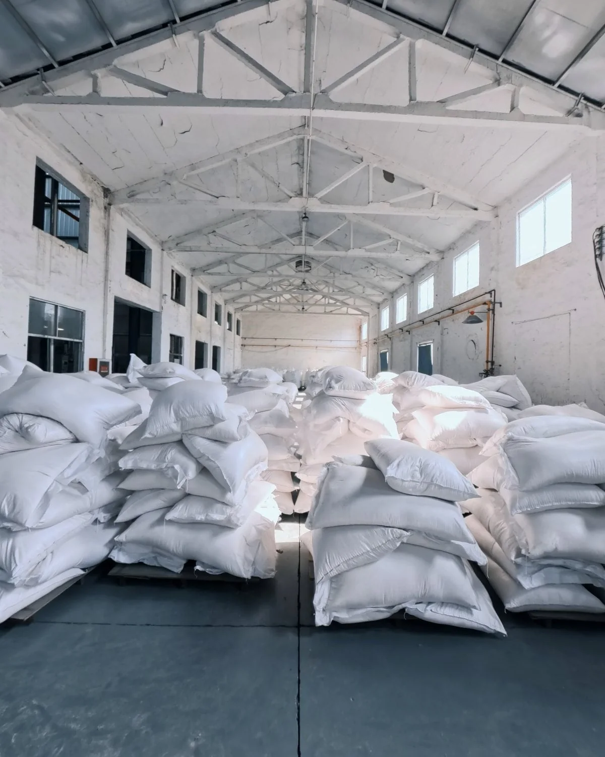 CleanPaw Island warehouse with palletized bulk bags ready for shipment
