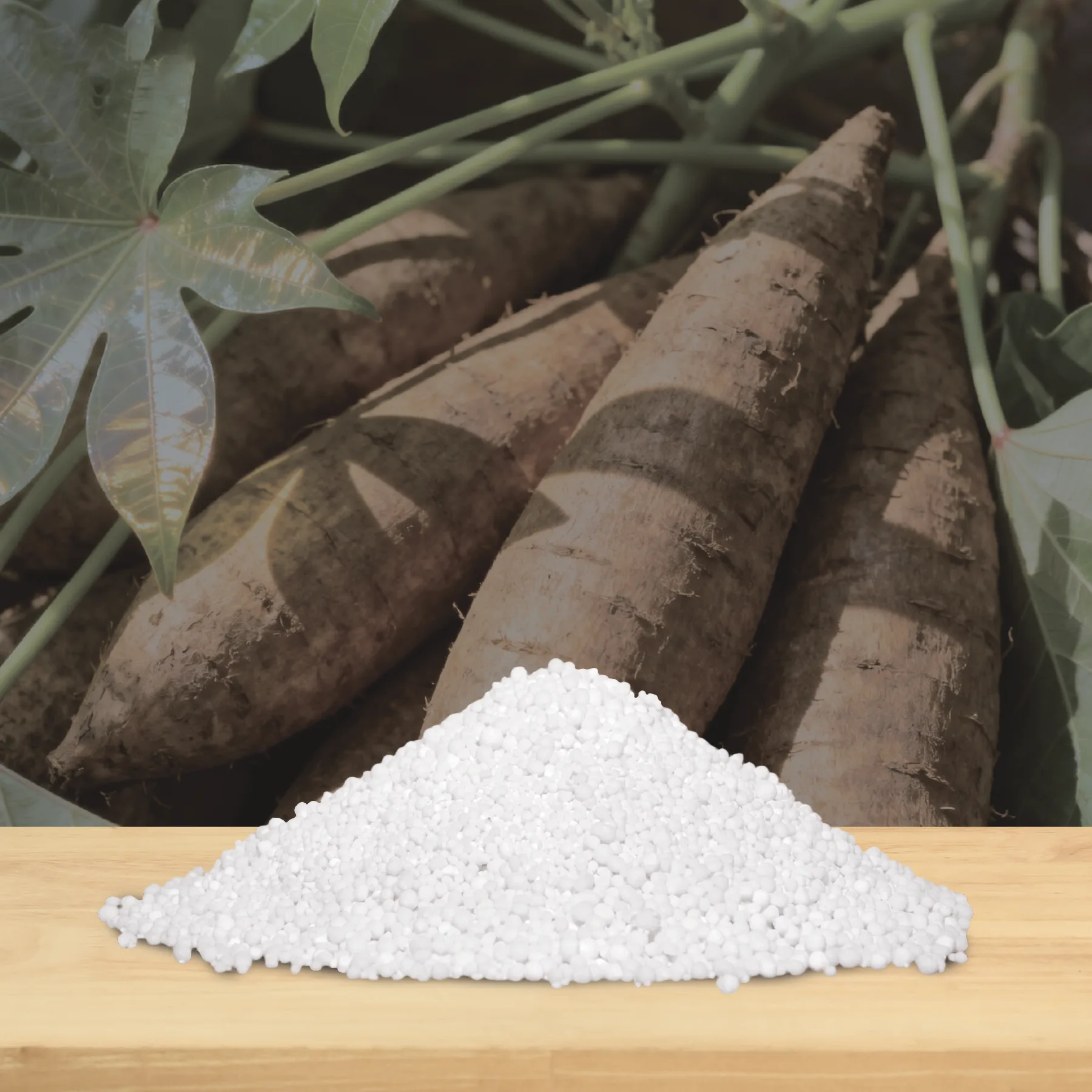 Cassava cat litter granules with fresh cassava roots