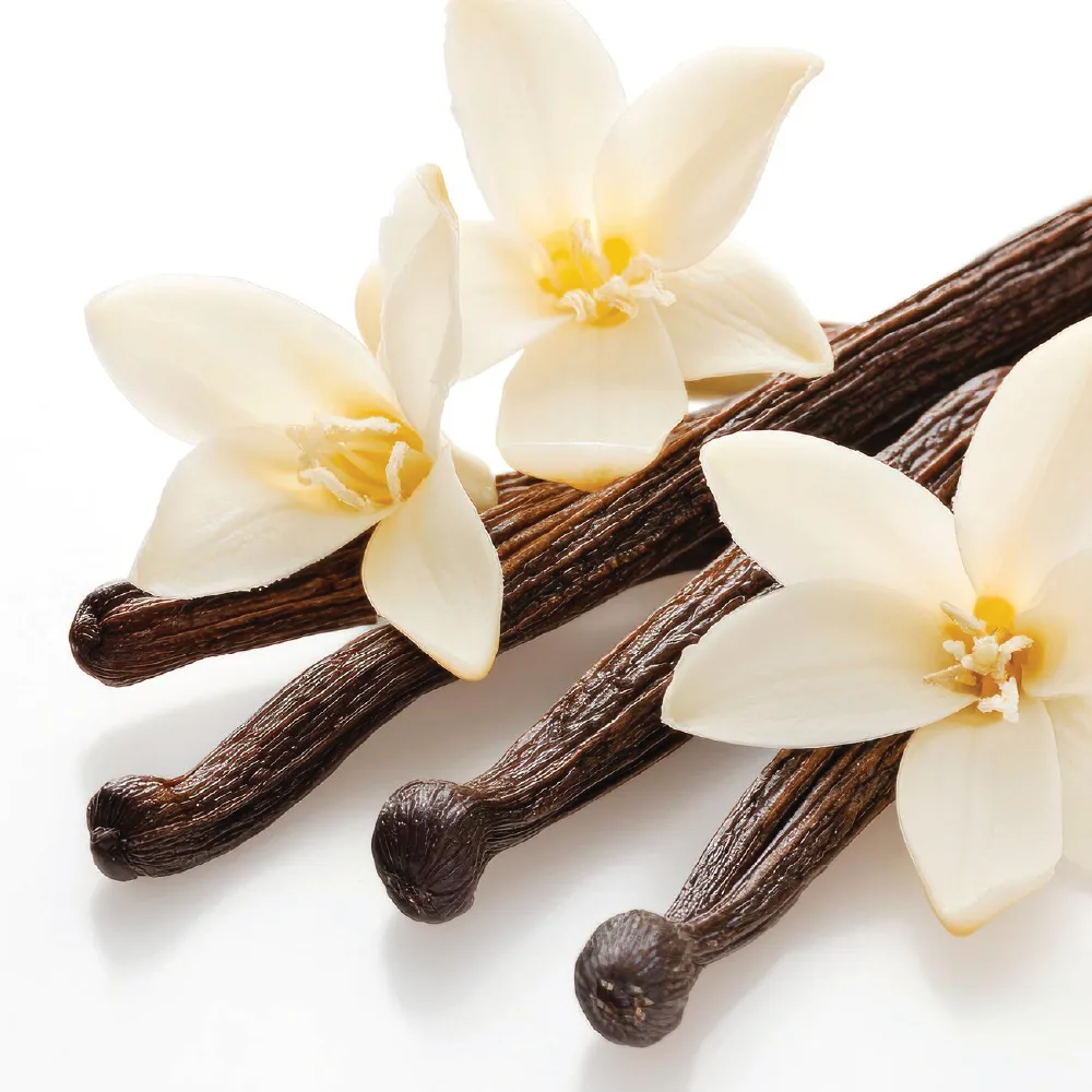 Vanilla fragrance ingredient